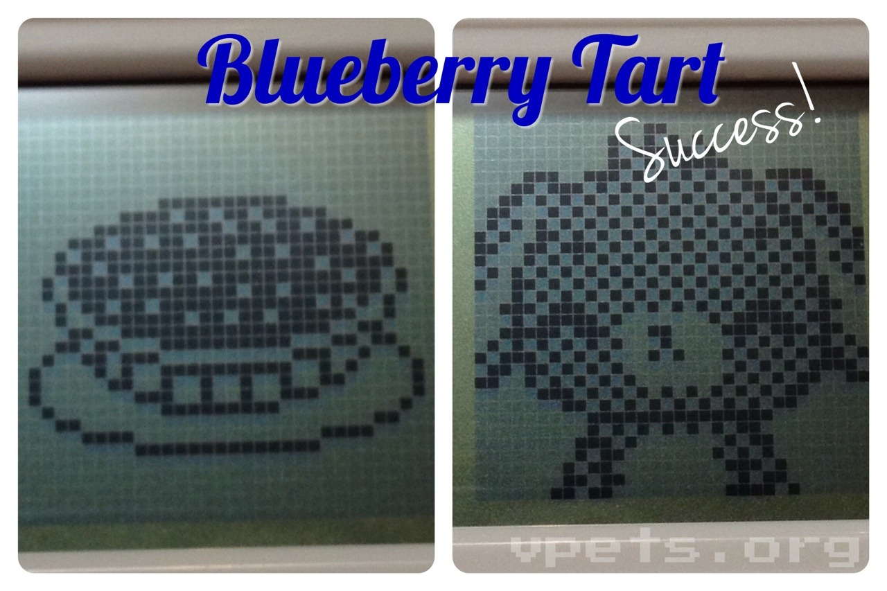 Blueberry Tart!